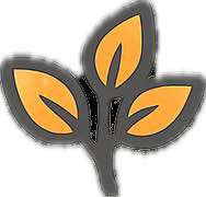 Natürlich & nachhaltig